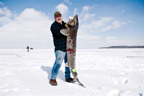 sturgeon fish|Winnebago System Sturgeon Spearing .